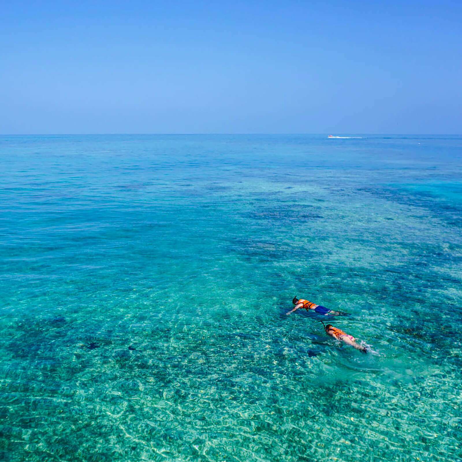 Snorkeling For Two